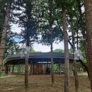 선사시대로 탐방 길(선사2코스) | 암사동 선사 유적지, 도심 속 선사시대로 떠나는 시간여행