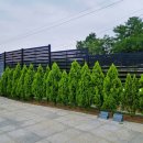 웅비공단길 이미지