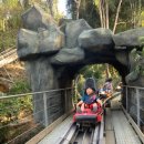 동양라이프 이미지