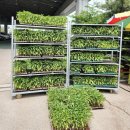 칠보농장 이미지