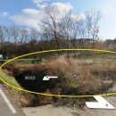 불은면-4 이미지