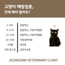 비플루피 이미지