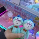 칠남매짬뽕 | 26년 4월 앨범털이 -