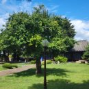 또오래민박 이미지