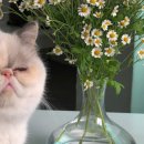 세븐일레븐 자양유진점 이미지