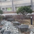 다드림공인중개사사무소 이미지