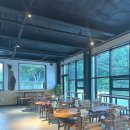 파인트리비 이미지