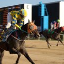 코리아헌터 이미지