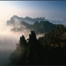 8얼 중국황산(마감) 이미지