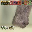 경은타이어 | [25 영국 GP] 실버스톤에 가다!🏎️🇬🇧🏁