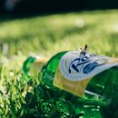 작은친구 이미지