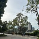 놀이터 zone | 아이랑 가성비 싱가포르 가족여행 코스추천 마리나베이샌즈 근처 무료 놀이터 후기!