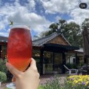 예이제448 이미지