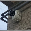 용호동물병원 이미지