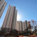 대륙공인중개사사무소 이미지