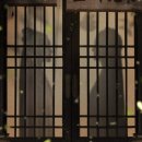 무림객잔 | 중국 드라마 - 중드 연화루 1~5화 줄거리 성의 증순희 초순요 무협물 수사극