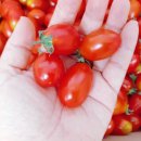 주현농장 이미지