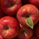 주하농장 이미지