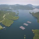 호반 태양광발전소 이미지