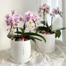 인천미추홀경찰서문학지구대 이미지