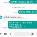 눈꽃(설아)복숭아 예약주문 받습니다 이미지