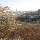 동국 평생교육원 대덕 대학교수 김동완 사주명리학 강의 수료식 12 - 2011.12.22 이미지