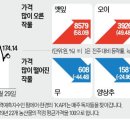 2024년 10월31일 목요일 간추린 뉴스 이미지