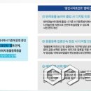 2026년 5월 6일 반려동물 뉴스 스크랩