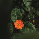 탑노래연습장 이미지