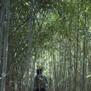 목리목장 이미지