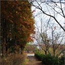 인천대공원(자전거광장) 이미지