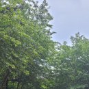 아이황토