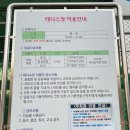 수내테니스장 네이버블로그