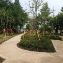 작은정원 이미지