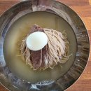 해운대라파약국 | 부산 냉면 맛집 해운대 부다면옥 미쉐린 평양냉면