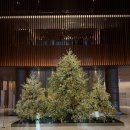 6760 | JW 메리어트 서울 더 마고 그릴 런치 4코스 후기(예약, 메뉴, 가격, 주차)