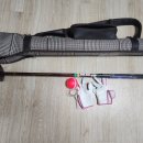 파크골프 클럽 이미지