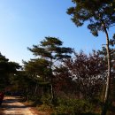 제일관광캠핑장 이미지