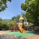 구목정공원 | 부산 기장 아이랑 갈만한 곳 정관 구목정공원 피크닉, 수국 구경