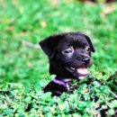 향남바로병원 이미지