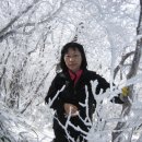 태백산탁구장 이미지