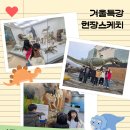 과학으로 만나는 영어교실 | [겨울특강 현장스케치] 교실 밖에서 만나는 살아있는 영어! 서대문자연사박물관 필드트립 후기 🦖