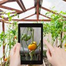 한드미마을 이미지