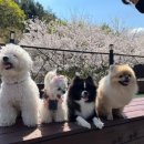 그라운독 이미지