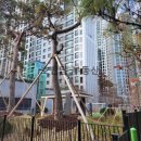 제일고 앞 버스정류장 옆 이미지