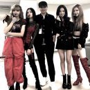 제니키스 이미지
