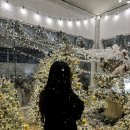 모에누베이커리 이미지