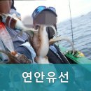 연안유선 이미지