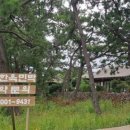 송림펜션민박 이미지