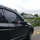 에이스게임장 이미지